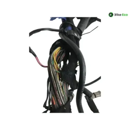 Faisceau electrique BUELL XB9S 1000 2005-2010 LIGHTNING CITY CROSS
