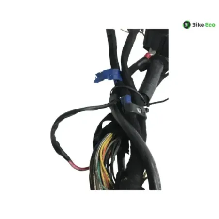 Faisceau electrique BUELL XB9S 1000 2005-2010 LIGHTNING CITY CROSS