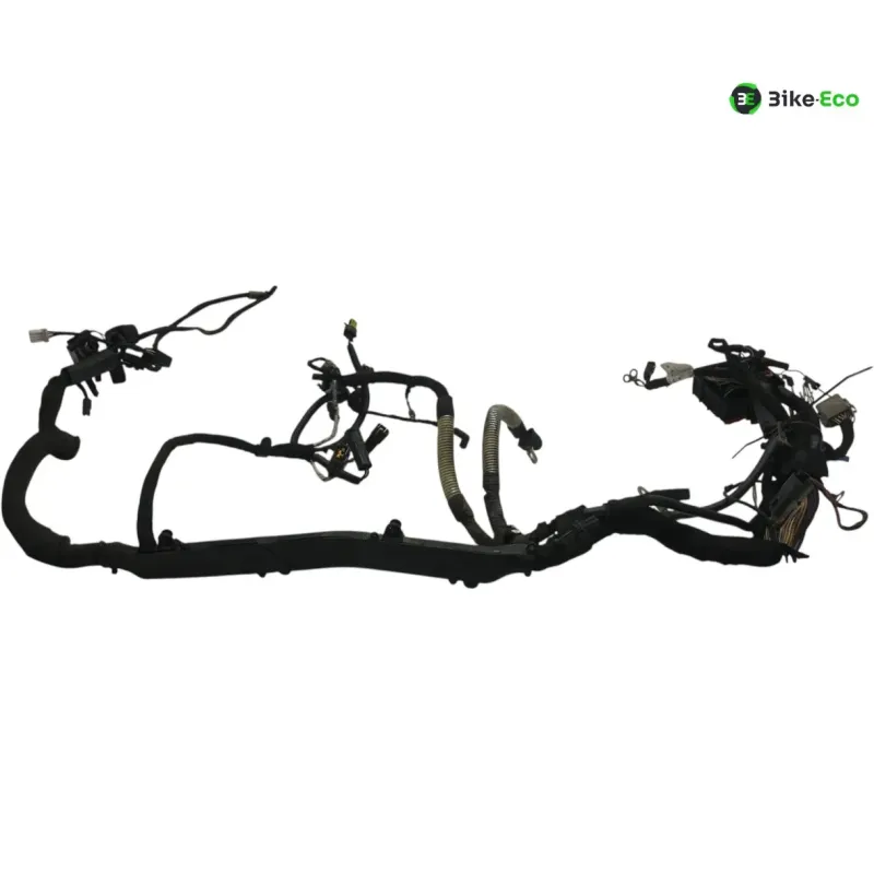Faisceau electrique BUELL XB9S 1000 2005-2010 LIGHTNING CITY CROSS