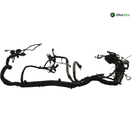 Faisceau electrique BUELL XB9S 1000 2005-2010 LIGHTNING CITY CROSS