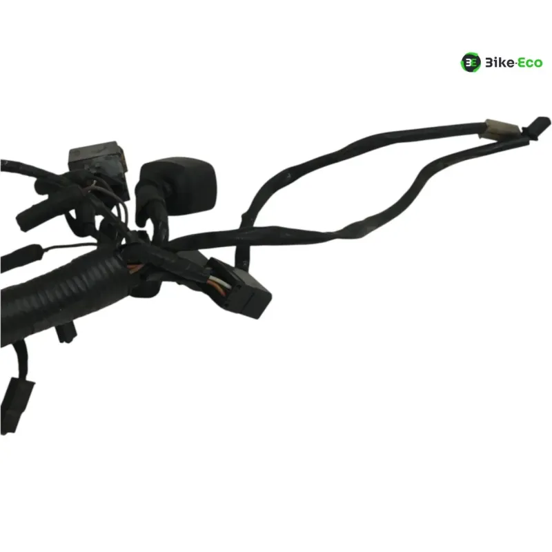 Faisceau electrique BUELL XB9S 1000 2005-2010 LIGHTNING CITY CROSS