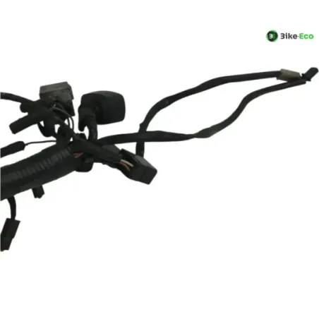 Faisceau electrique BUELL XB9S 1000 2005-2010 LIGHTNING CITY CROSS