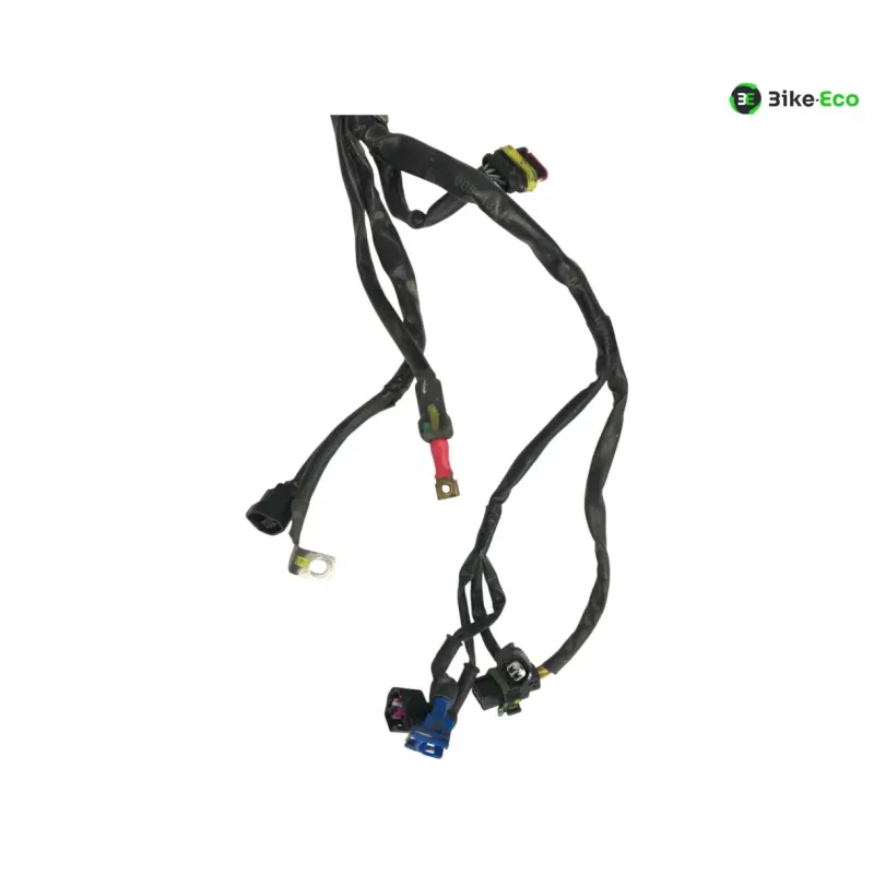 Faisceau electrique PIAGGIO LIBERTY 50 2017-2019 IGET IE