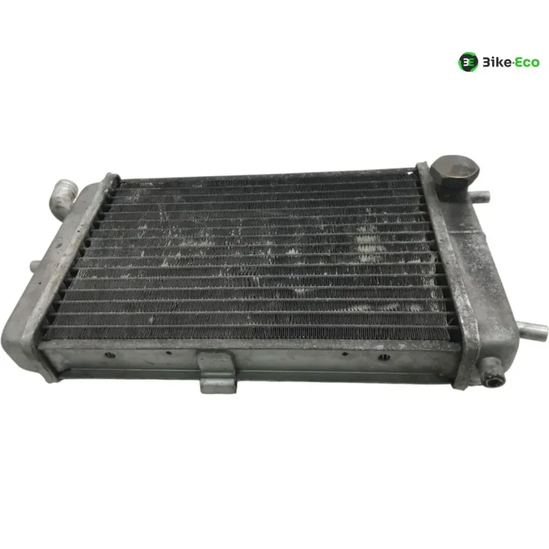Radiateur eau MALAGUTI MADISON 3 250 2006-2009