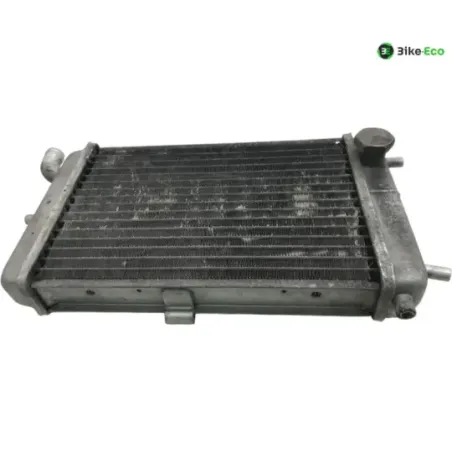 Radiateur eau MALAGUTI MADISON 3 250 2006-2009