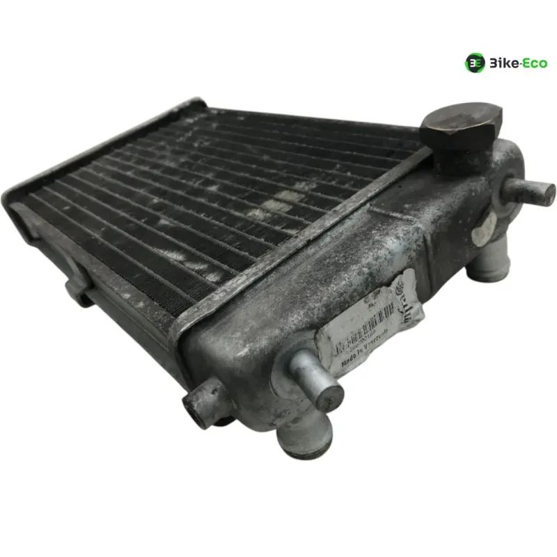 Radiateur eau MALAGUTI MADISON 3 250 2006-2009