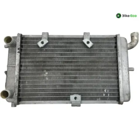 Radiateur eau MALAGUTI MADISON 3 250 2006-2009