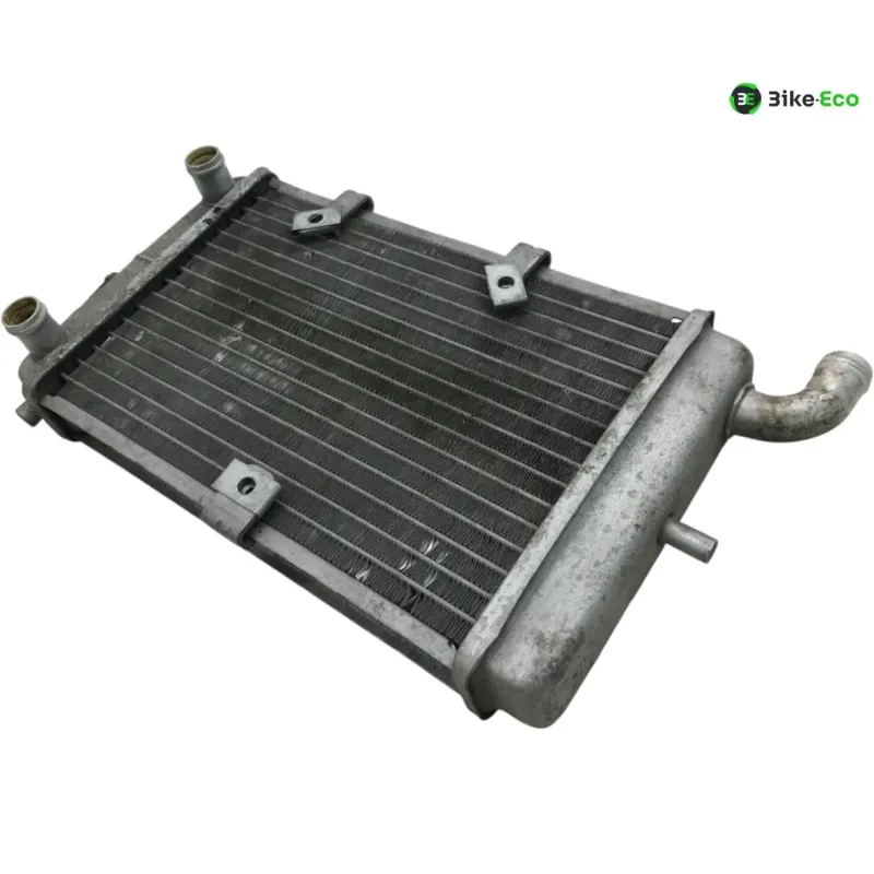 Radiateur eau MALAGUTI MADISON 3 250 2006-2009