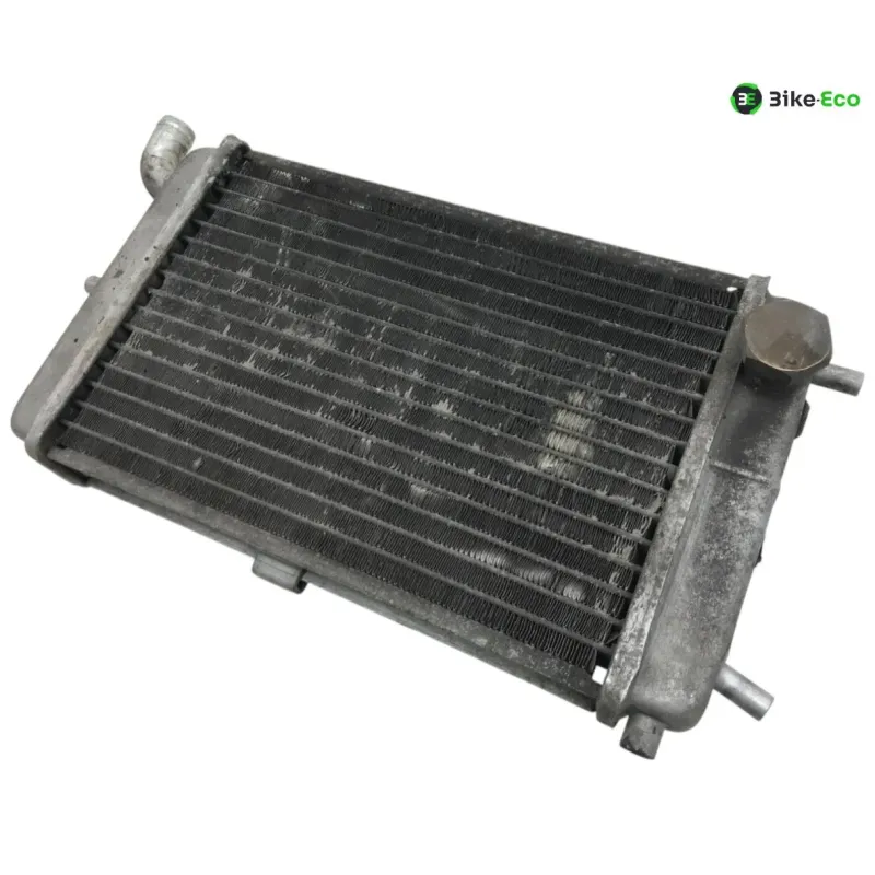 Radiateur eau MALAGUTI MADISON 3 250 2006-2009