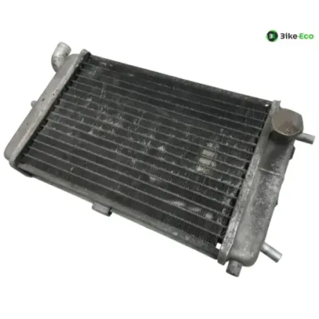 Radiateur eau MALAGUTI MADISON 3 250 2006-2009