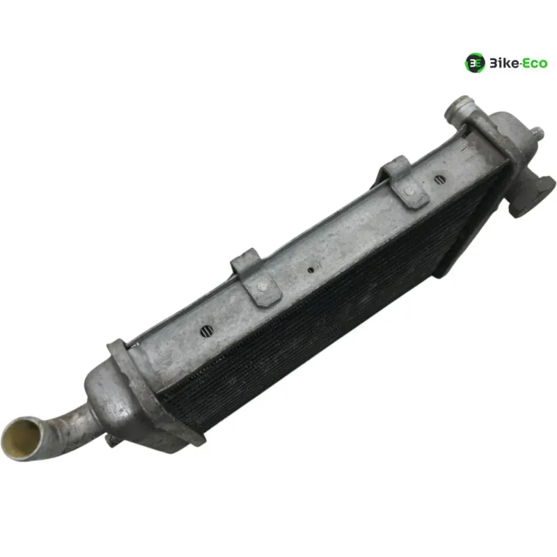 Radiateur eau MALAGUTI MADISON 3 250 2006-2009