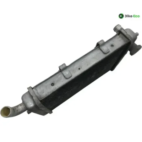 Radiateur eau MALAGUTI MADISON 3 250 2006-2009