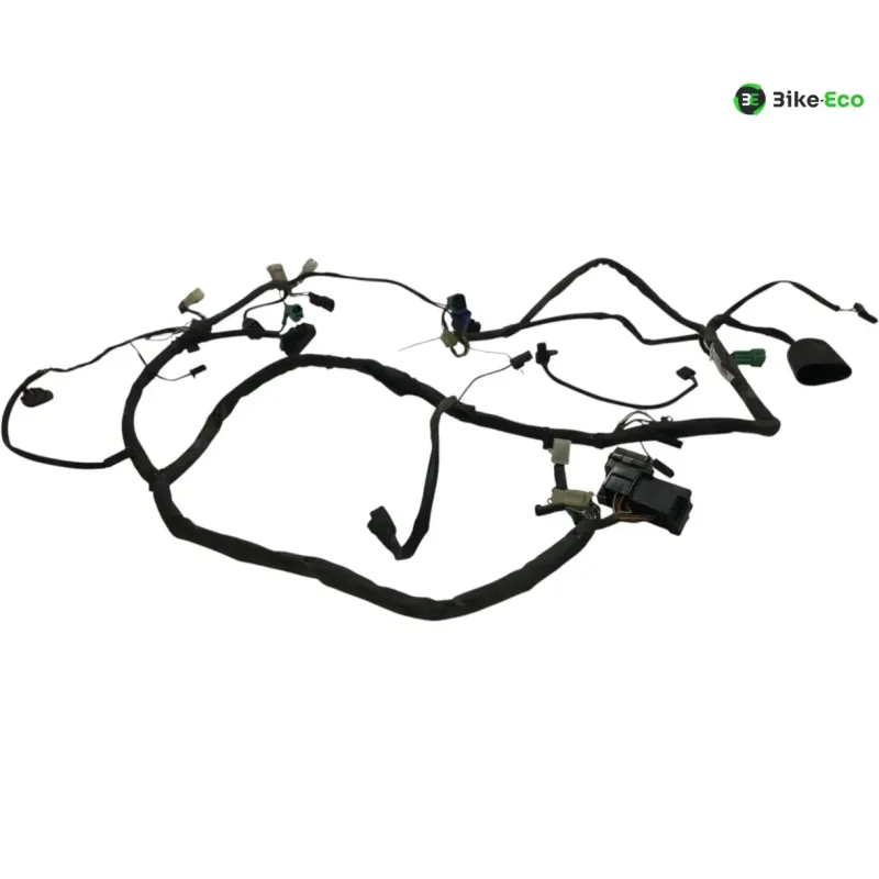 Faisceau electrique SUZUKI GSF 1200 2001-2005 BANDIT S