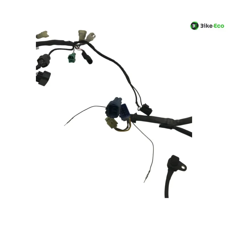 Faisceau electrique SUZUKI GSF 1200 2001-2005 BANDIT S