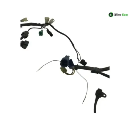 Faisceau electrique SUZUKI GSF 1200 2001-2005 BANDIT S