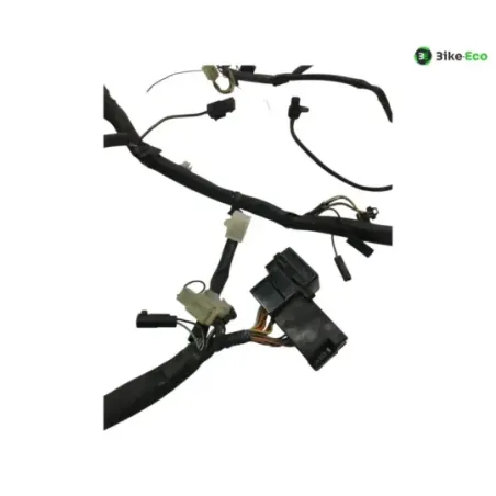 Faisceau electrique SUZUKI GSF 1200 2001-2005 BANDIT S