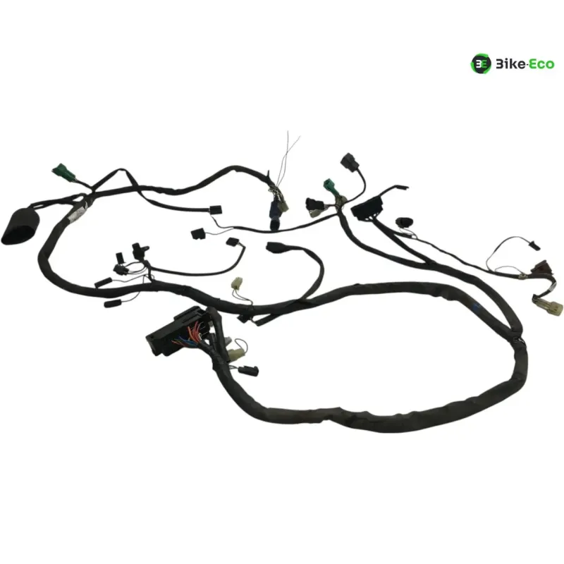 Faisceau electrique SUZUKI GSF 1200 2001-2005 BANDIT S