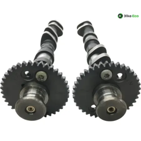 Arbres à cames TRIUMPH SPRINT 900 1993-1997