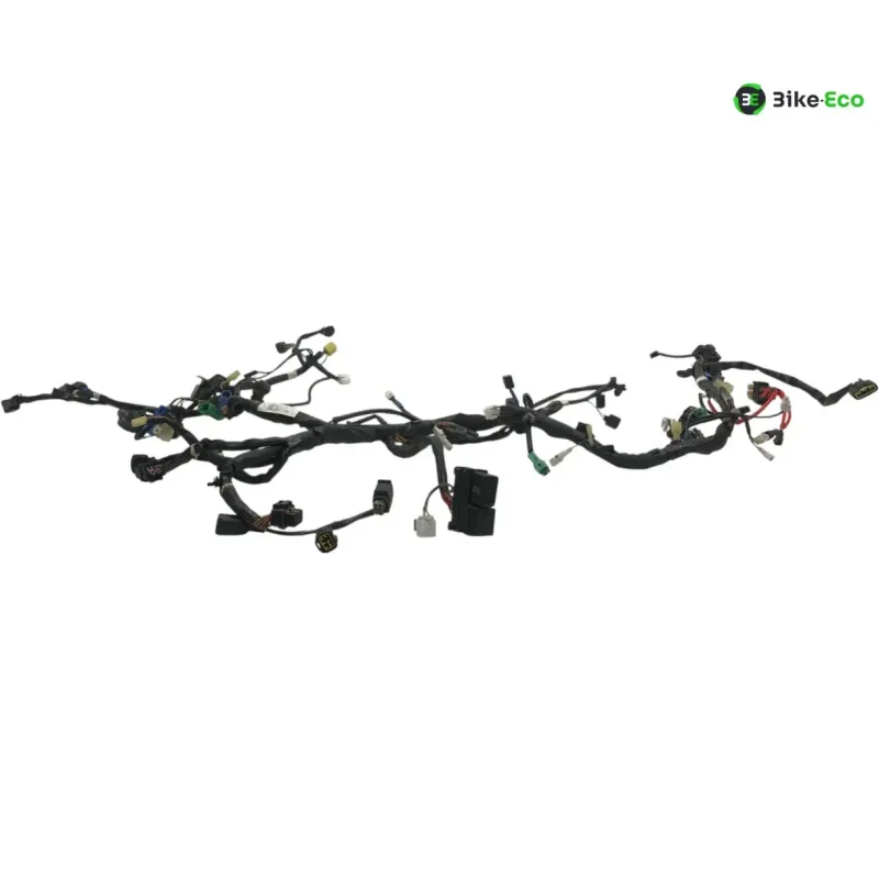 Faisceau electrique SUZUKI AN 650 2013-2018 BURGMAN