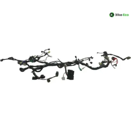 Faisceau electrique SUZUKI AN 650 2013-2018 BURGMAN