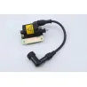 Bobine allumage PIAGGIO VESPA LX 125 1998 - 2000 Bobine allumage PIAGGIO VESPA LX 125 1998 - 2000