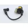 Bobine allumage PIAGGIO VESPA LX 125 1998 - 2000 Bobine allumage PIAGGIO VESPA LX 125 1998 - 2000