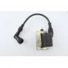 Bobine allumage PIAGGIO VESPA LX 125 1998 - 2000 Bobine allumage PIAGGIO VESPA LX 125 1998 - 2000
