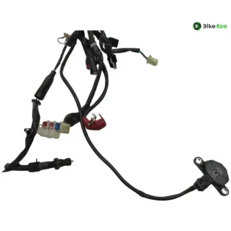 Faisceau electrique HONDA MSX 125 2016-2020