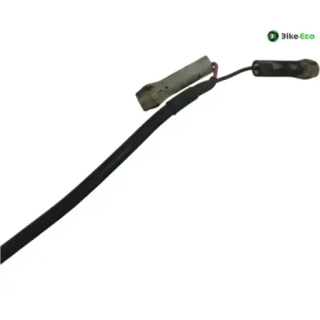 Clignotants avant TRIUMPH STREET TRIPLE S 660 2017-2019