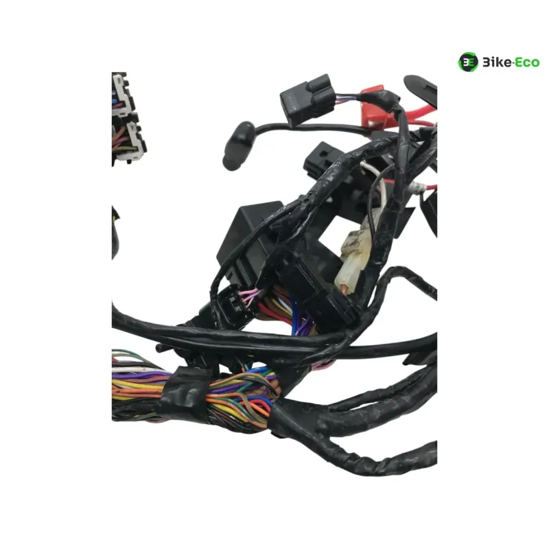 Faisceau electrique TRIUMPH STREET TRIPLE S 660 2017-2019
