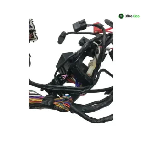 Faisceau electrique TRIUMPH STREET TRIPLE S 660 2017-2019