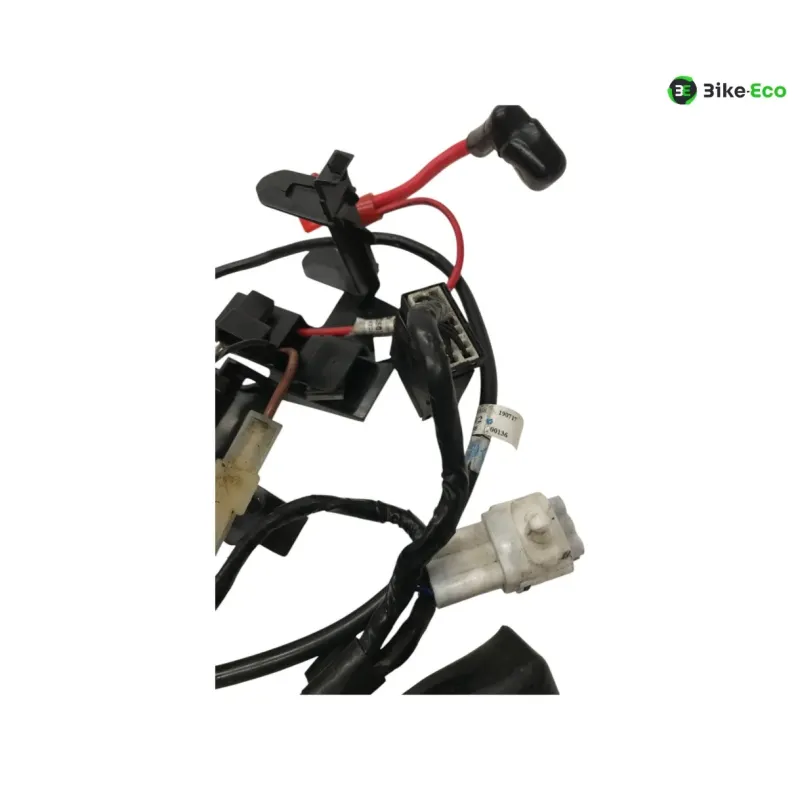 Faisceau electrique TRIUMPH STREET TRIPLE S 660 2017-2019