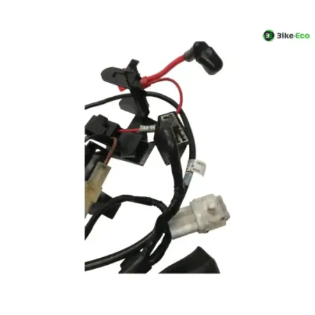 Faisceau electrique TRIUMPH STREET TRIPLE S 660 2017-2019