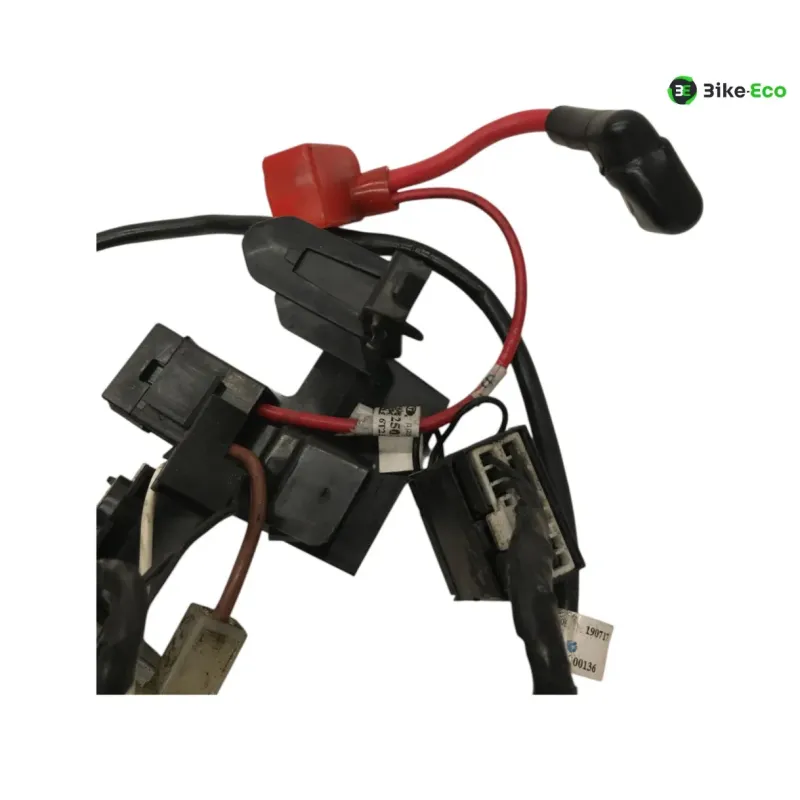 Faisceau electrique TRIUMPH STREET TRIPLE S 660 2017-2019