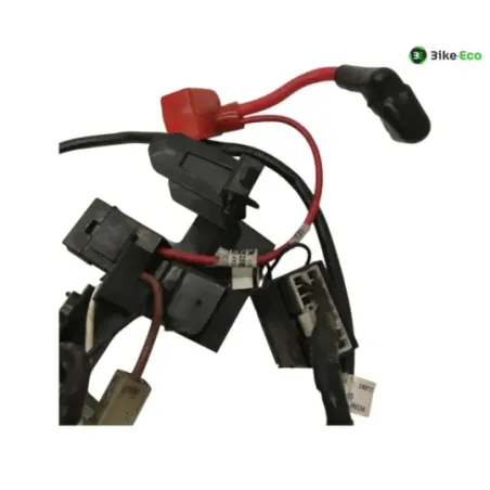 Faisceau electrique TRIUMPH STREET TRIPLE S 660 2017-2019