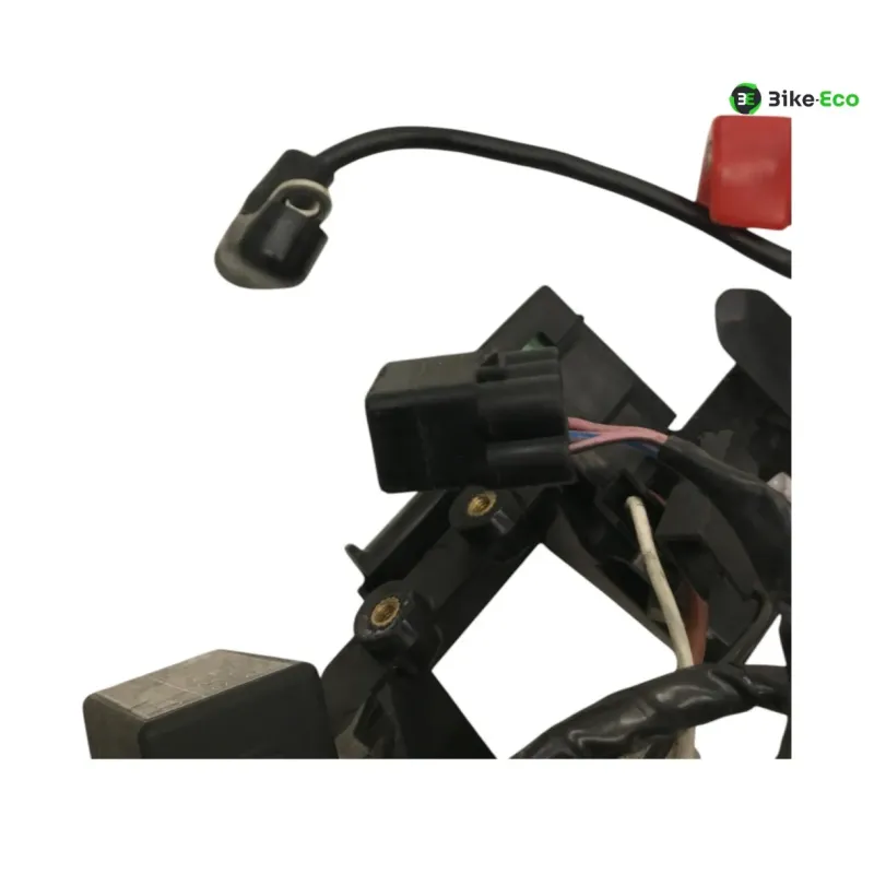 Faisceau electrique TRIUMPH STREET TRIPLE S 660 2017-2019
