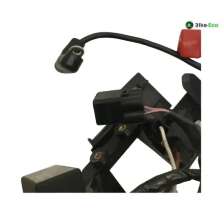 Faisceau electrique TRIUMPH STREET TRIPLE S 660 2017-2019
