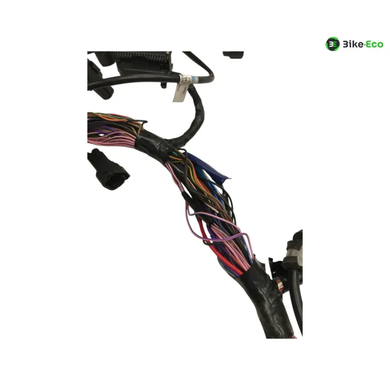 Faisceau electrique TRIUMPH STREET TRIPLE S 660 2017-2019