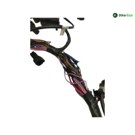 Faisceau electrique TRIUMPH STREET TRIPLE S 660 2017-2019