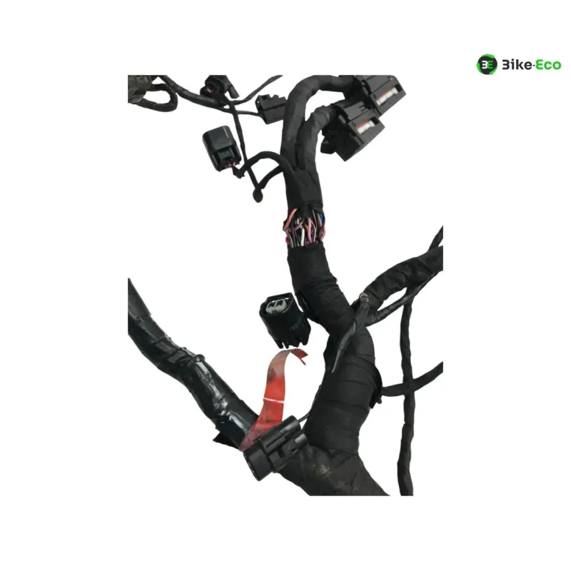 Faisceau electrique TRIUMPH STREET TRIPLE S 660 2017-2019