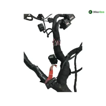 Faisceau electrique TRIUMPH STREET TRIPLE S 660 2017-2019