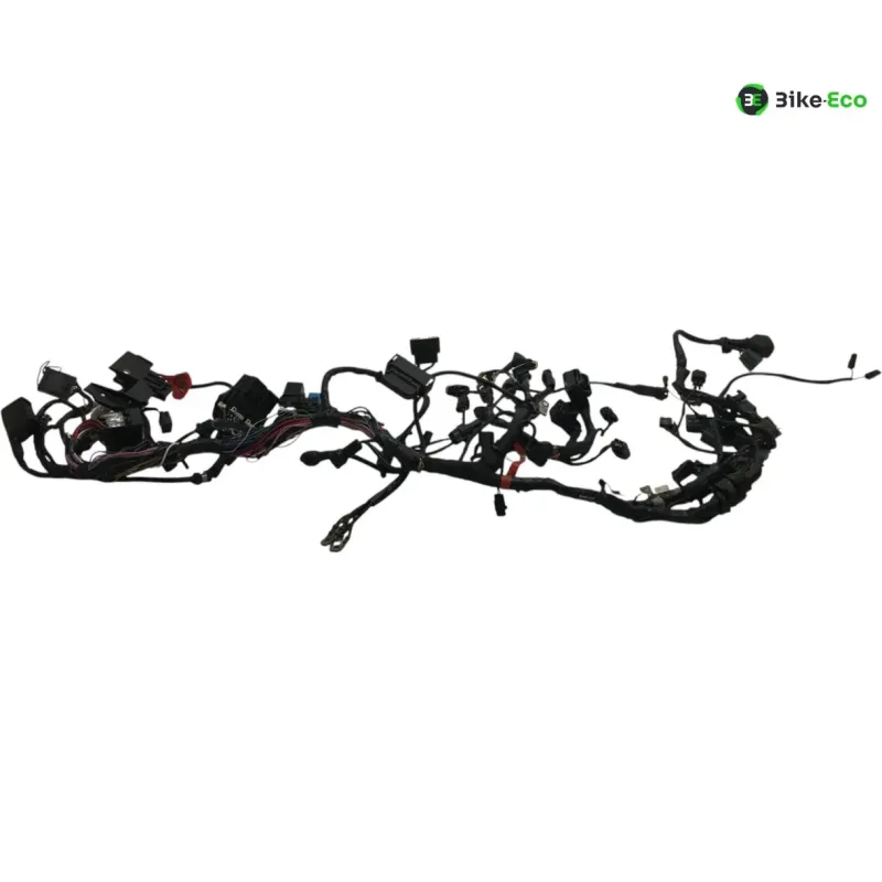 Faisceau electrique TRIUMPH STREET TRIPLE S 660 2017-2019