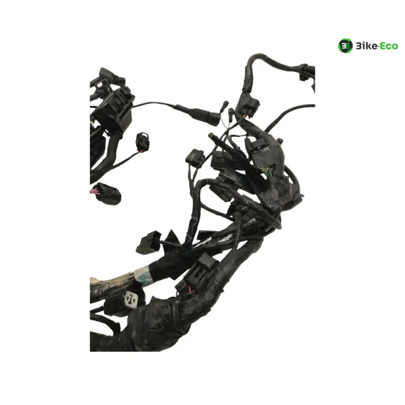 Faisceau electrique TRIUMPH STREET TRIPLE S 660 2017-2019
