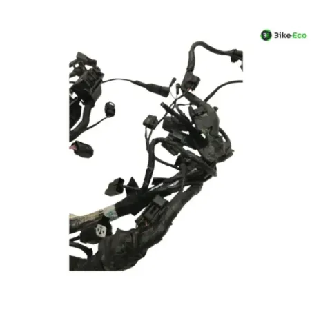 Faisceau electrique TRIUMPH STREET TRIPLE S 660 2017-2019