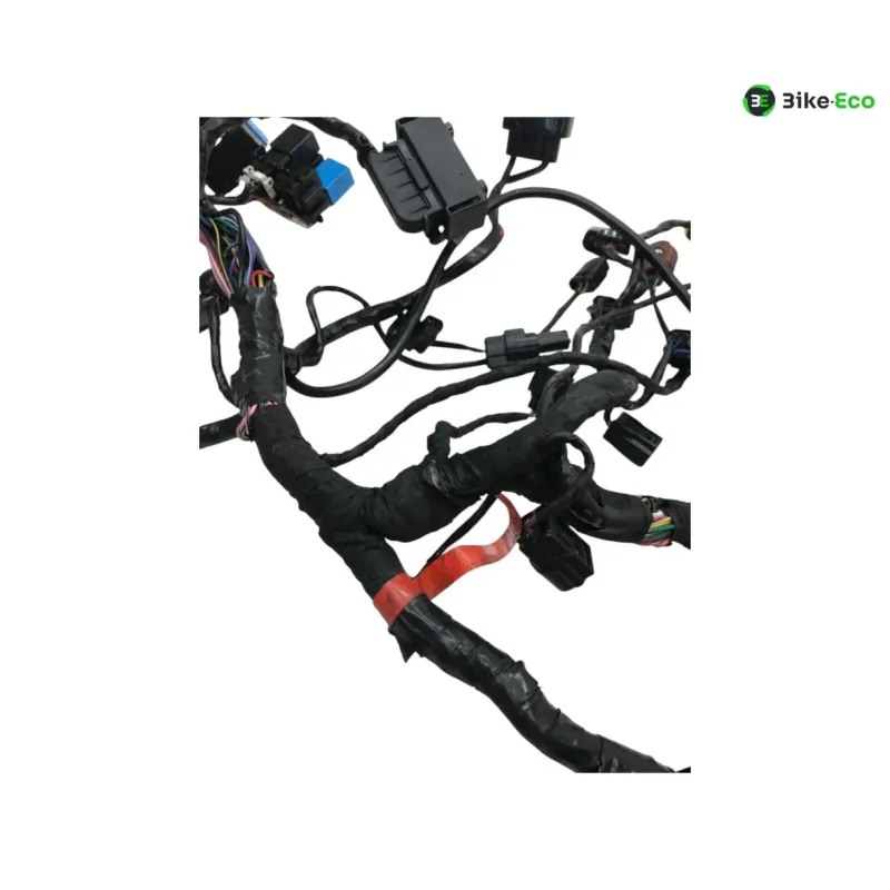 Faisceau electrique TRIUMPH STREET TRIPLE S 660 2017-2019