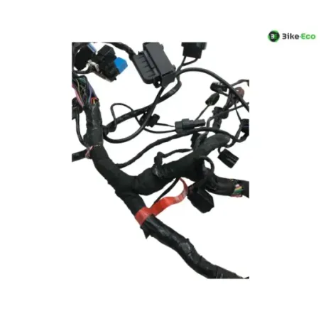 Faisceau electrique TRIUMPH STREET TRIPLE S 660 2017-2019