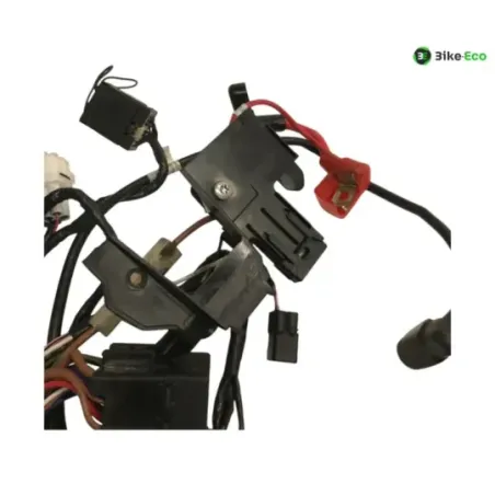 Faisceau electrique TRIUMPH STREET TRIPLE S 660 2017-2019