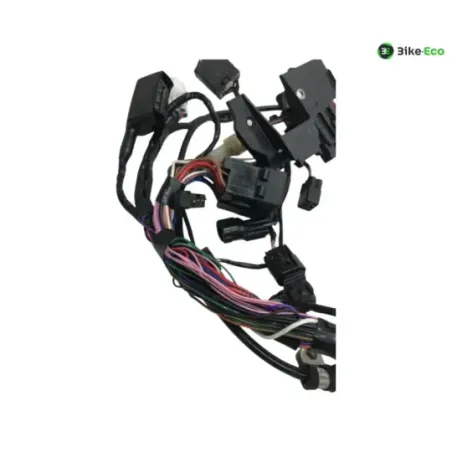 Faisceau electrique TRIUMPH STREET TRIPLE S 660 2017-2019