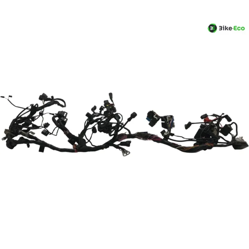 Faisceau electrique TRIUMPH STREET TRIPLE S 660 2017-2019