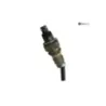Sonde lambda HONDA NSS 125 2017-2018 FORZA